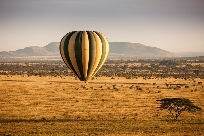 Transfer to Seronera & Afternoon Game Drive in Central Serengeti